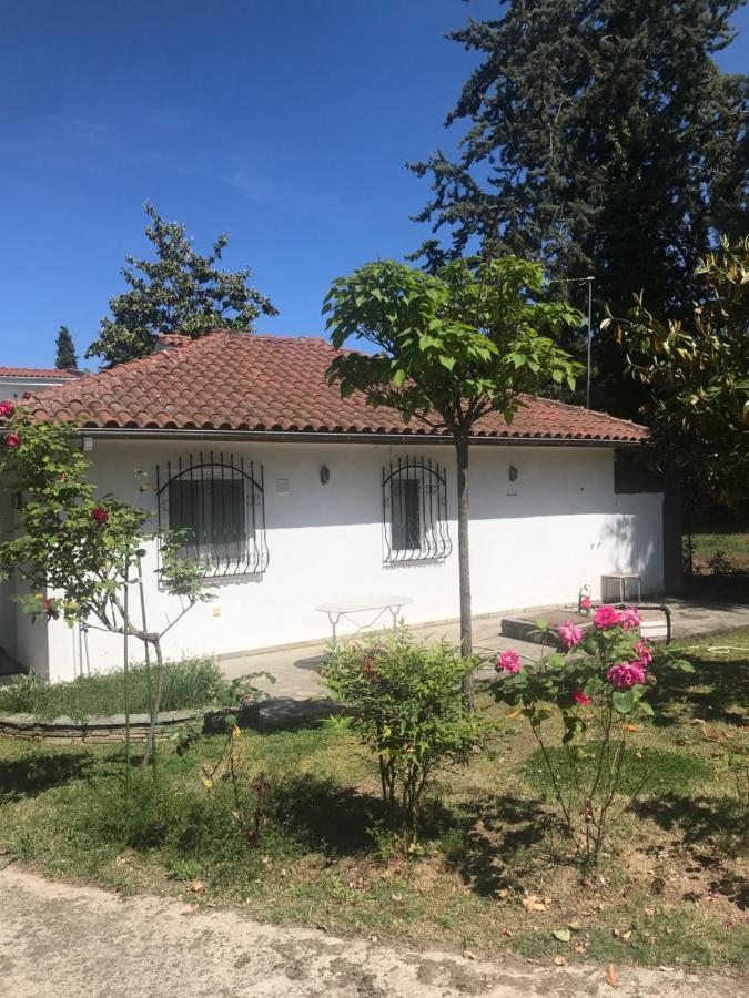 Zeusplace Seaside Home Private Beach And Parking Плака Литохору Екстериор снимка