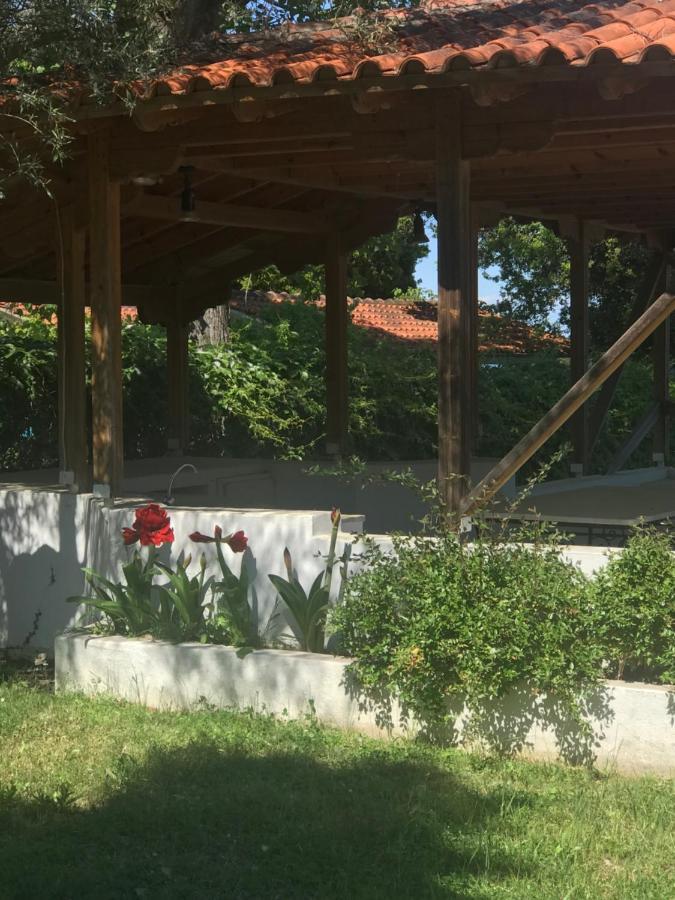 Zeusplace Seaside Home Private Beach And Parking Плака Литохору Екстериор снимка